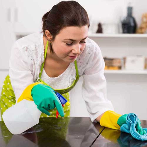 cleaning professional services